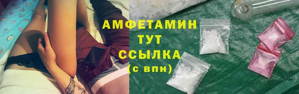молекула духа Лабытнанги