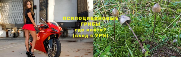 молекула духа Лабытнанги
