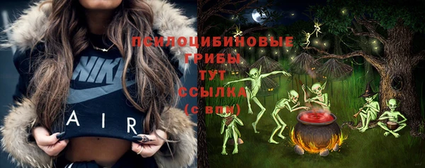 гашик Лагань