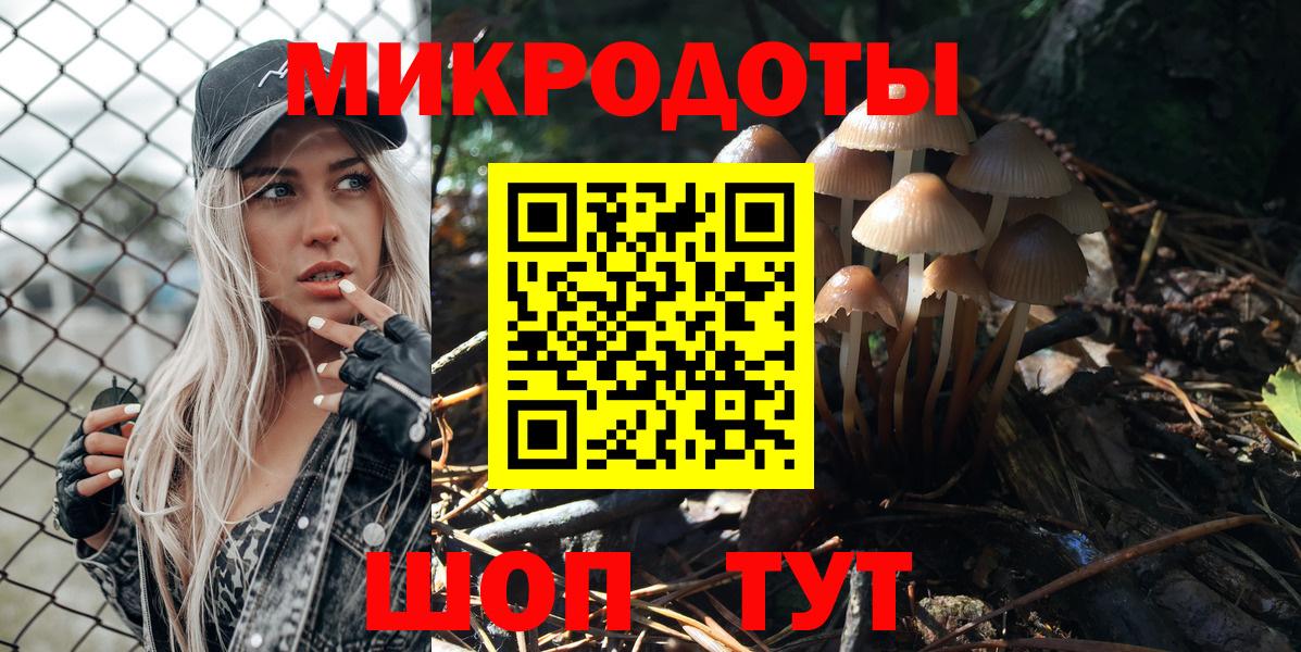 Псилоцибиновые грибы Psilocybe  наркота  Ефремов  Галлюциногенные грибы Cubensis 