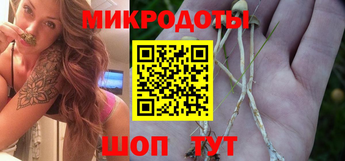 Галлюциногенные грибы Cubensis Ефремов