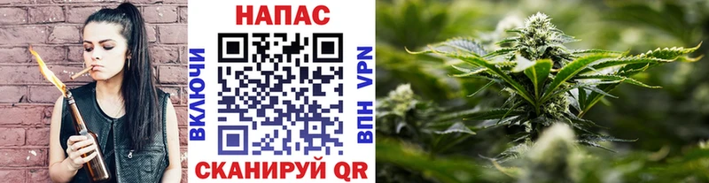 Канабис тримм  мега как зайти  Ефремов 
